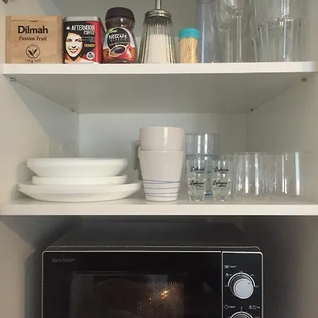 Apartment B21a